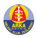 MKZ Arka Gdynia