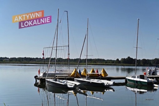 Mistrzostwa Województwa Wielkopolskiego w klasie Optimist, cz. 3